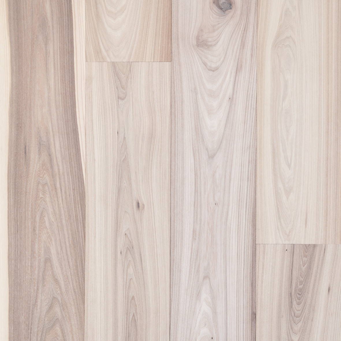 Elm flooring