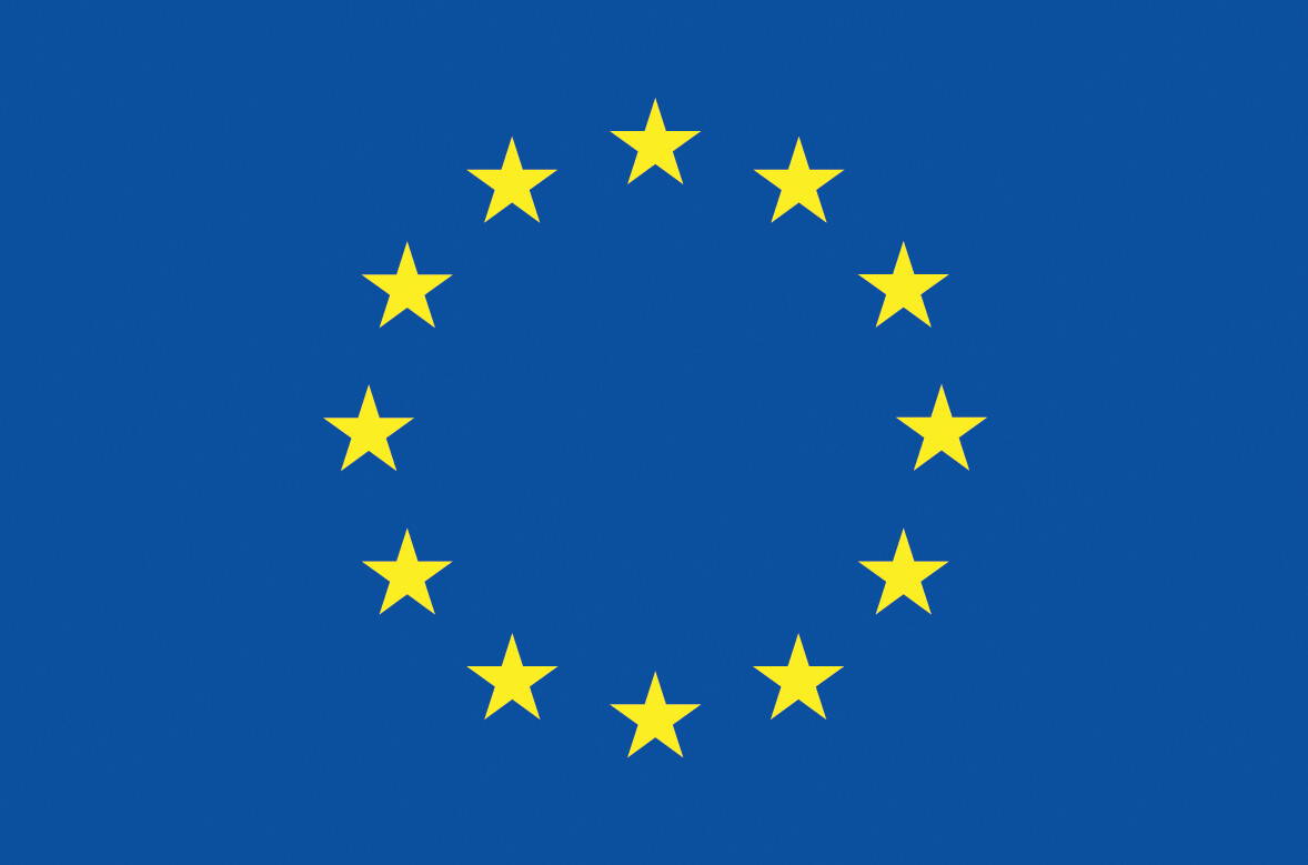 Co-funded by the European Union
