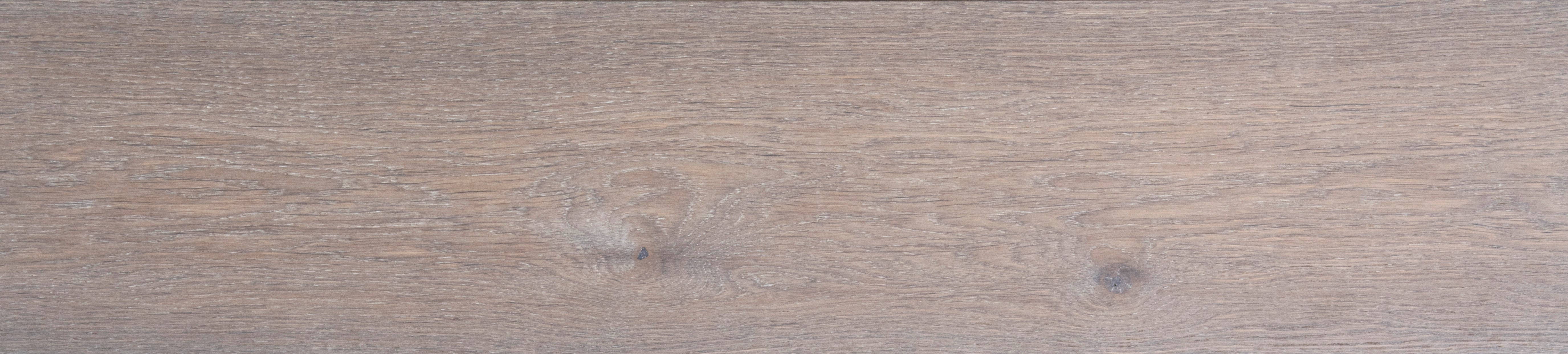 oak - Chameleon