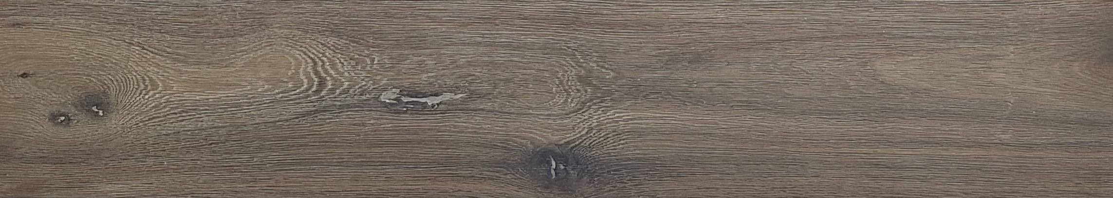 shrunk oak - Pyrenees