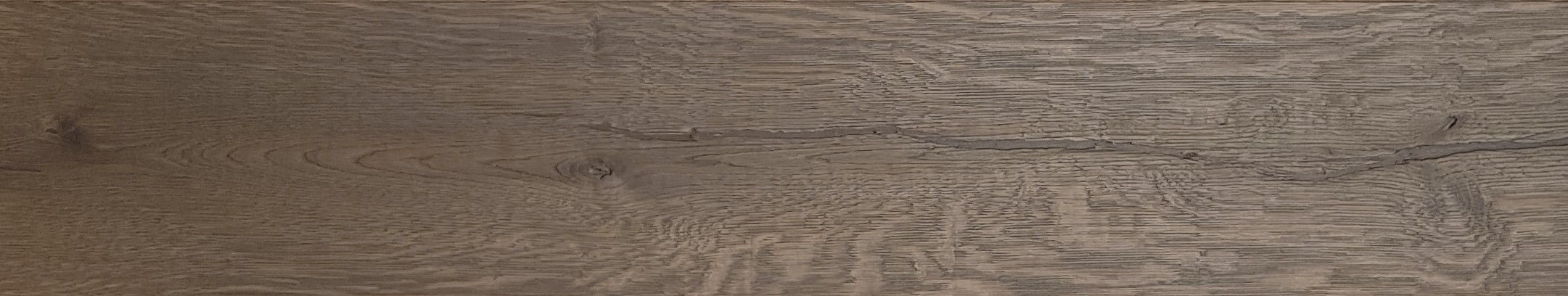 shrunk oak - Caucasus