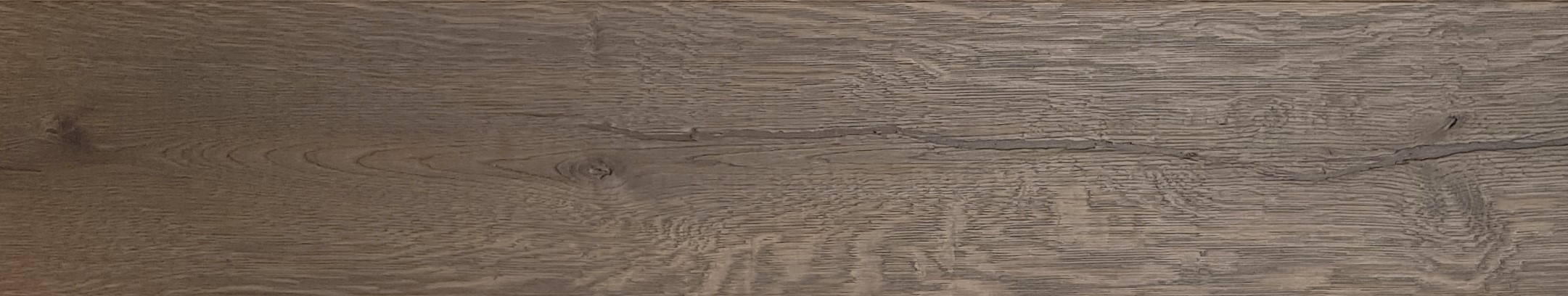 shrunk oak - Caucasus